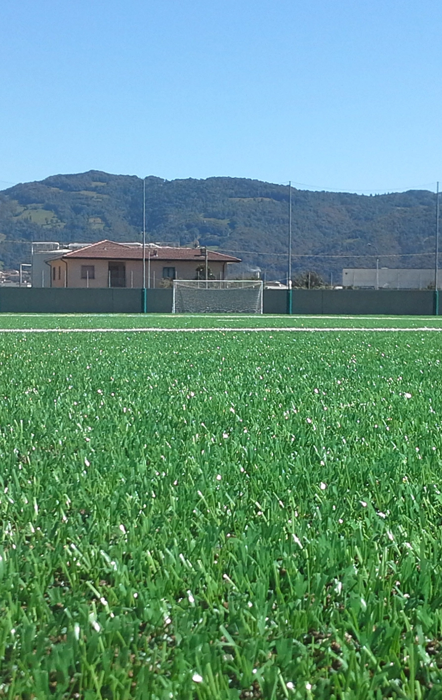 Campo da calcio con erba sintetica con veduta sulla porta. 