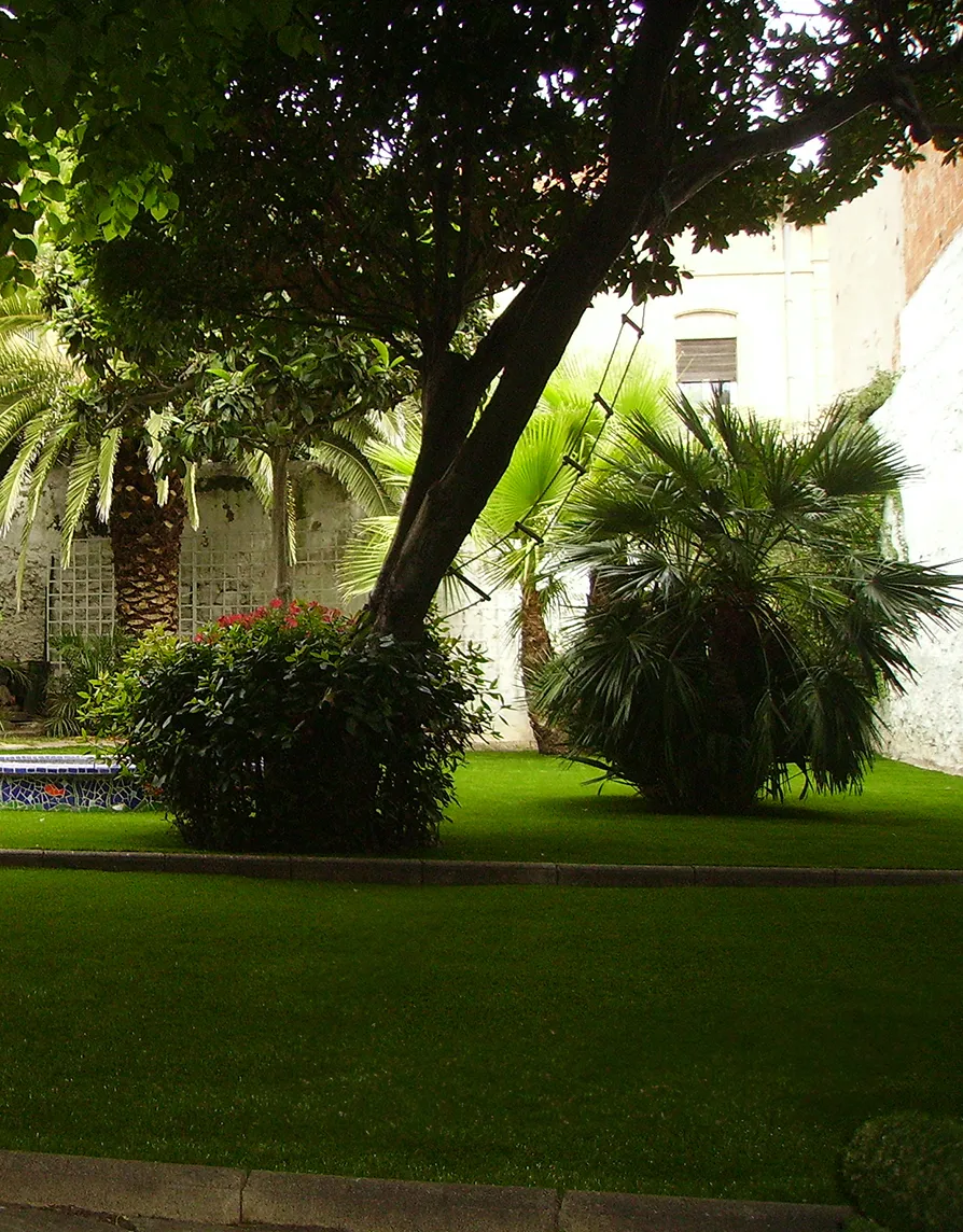 Giardino privato con erba sintetica attorniato da piante
